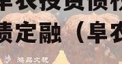 江苏阜农投资债权资产政府债定融（阜农投资1号）