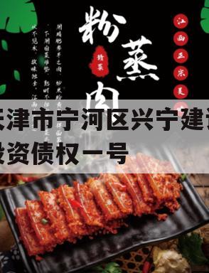 天津市宁河区兴宁建设投资债权一号
