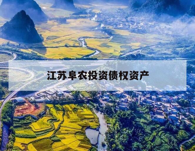江苏阜农投资债权资产
