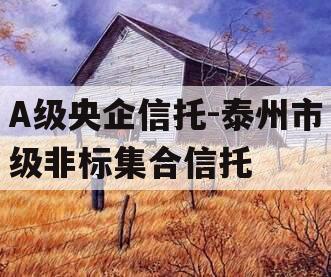 A级央企信托-泰州市级非标集合信托