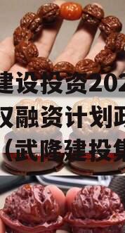 武隆建设投资2023年债权融资计划政府债定融（武隆建投集团）