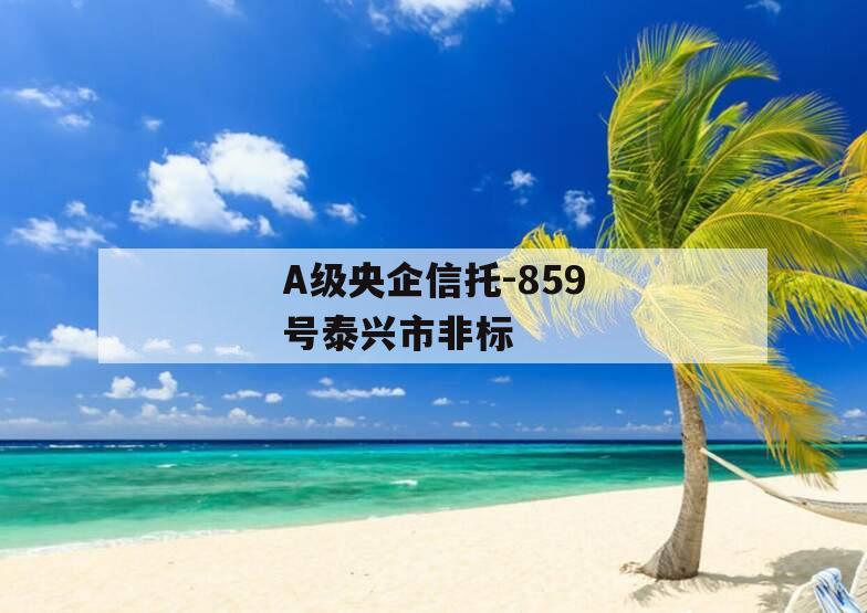 A级央企信托-859号泰兴市非标