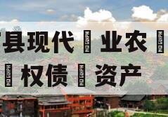 JT县现代业农投资权债资产 JT县现代业农投资权债资产