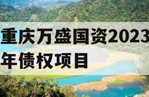 重庆万盛国资2023年债权项目