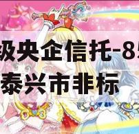 A级央企信托-859号泰兴市非标