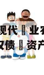 JT县现代业农投资权债资产 JT县现代业农投资权债资产