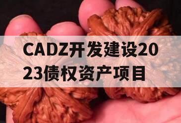 CADZ开发建设2023债权资产项目