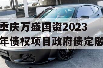 重庆万盛国资2023年债权项目政府债定融