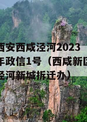 西安西咸泾河2023年政信1号（西咸新区泾河新城拆迁办）