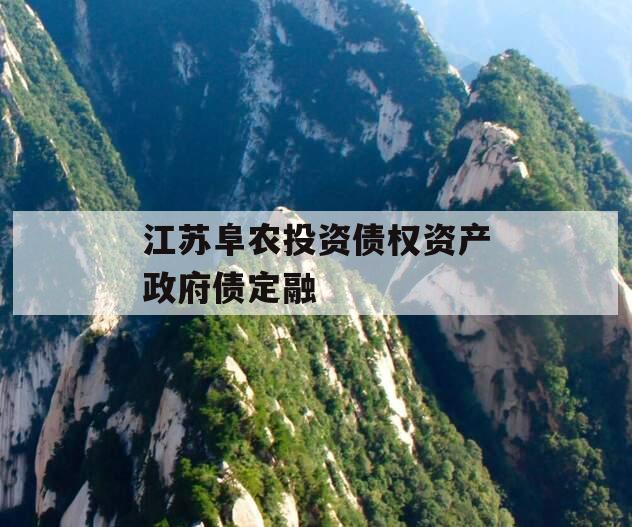 江苏阜农投资债权资产政府债定融