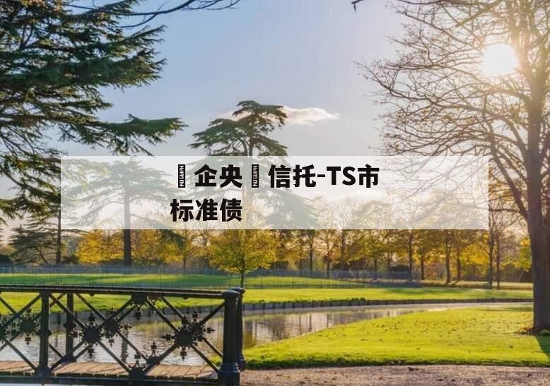 ‮企央‬信托-TS市标准债