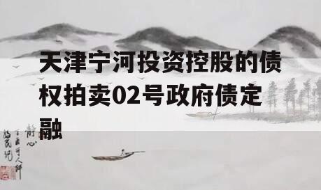 天津宁河投资控股的债权拍卖02号政府债定融