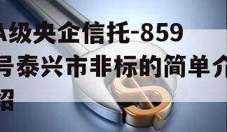 A级央企信托-859号泰兴市非标的简单介绍