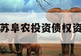 江苏阜农投资债权资产