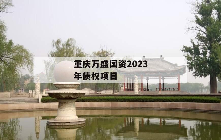 重庆万盛国资2023年债权项目