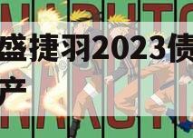 万盛捷羽2023债权资产