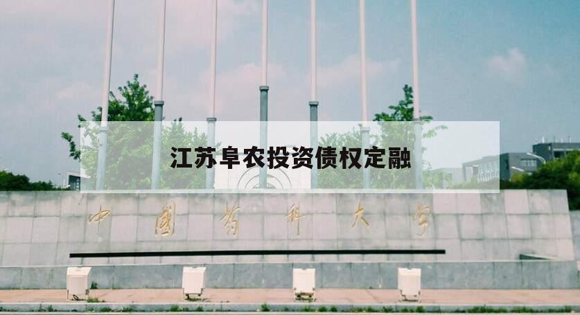 江苏阜农投资债权定融 江苏阜农投资债权定融