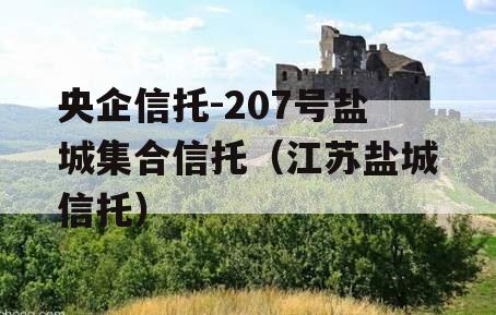 央企信托-207号盐城集合信托（江苏盐城信托）