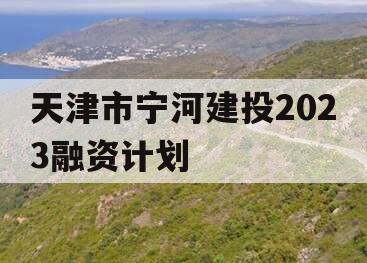天津市宁河建投2023融资计划