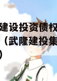 武隆建设投资债权融资计划（武隆建投集团总经理）