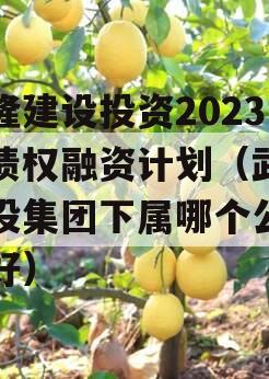 武隆建设投资2023年债权融资计划（武隆建投集团下属哪个公司最好）