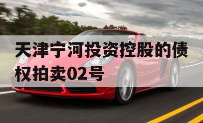 天津宁河投资控股的债权拍卖02号 天津宁河投资控股的债权拍卖02号