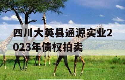 四川大英县通源实业2023年债权拍卖