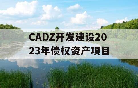 CADZ开发建设2023年债权资产项目