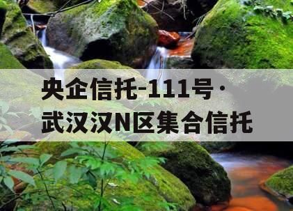 央企信托-111号·武汉汉N区集合信托