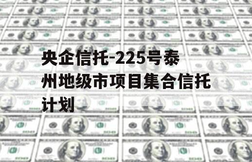 央企信托-225号泰州地级市项目集合信托计划