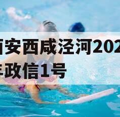 西安西咸泾河2023年政信1号 西安西咸泾河2023年政信1号