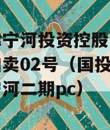 天津宁河投资控股的债权拍卖02号（国投天津宁河二期pc）