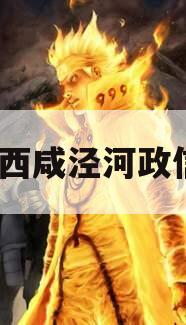西安西咸泾河政信1号