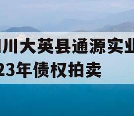 四川大英县通源实业2023年债权拍卖