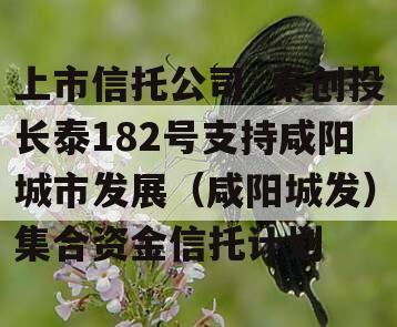 上市信托公司·秦创投长泰182号支持咸阳城市发展（咸阳城发）集合资金信托计划