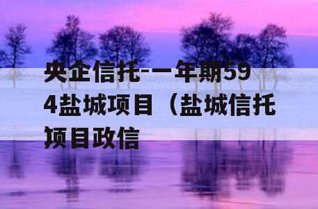 央企信托-一年期594盐城项目（盐城信托项目政信
）
