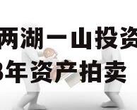 简阳两湖一山投资债权2023年资产拍卖