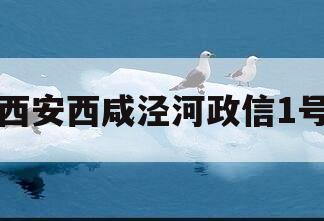 西安西咸泾河政信1号