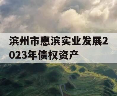 滨州市惠滨实业发展2023年债权资产 滨州市惠滨实业发展2023年债权资产