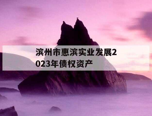 滨州市惠滨实业发展2023年债权资产 滨州市惠滨实业发展2023年债权资产