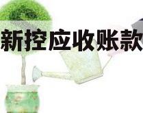 咸阳新控应收账款债权转让 咸阳新控应收账款债权转让