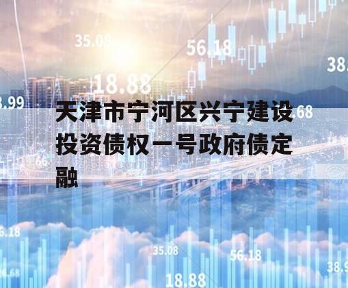 天津市宁河区兴宁建设投资债权一号政府债定融