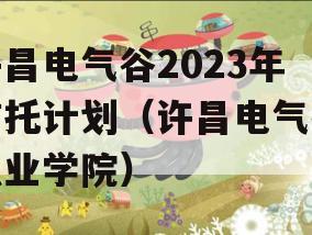 许昌电气谷2023年信托计划（许昌电气谷职业学院）