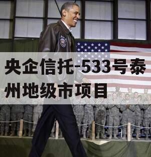 央企信托-533号泰州地级市项目