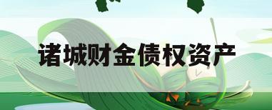 诸城财金债权资产