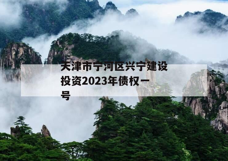 天津市宁河区兴宁建设投资2023年债权一号