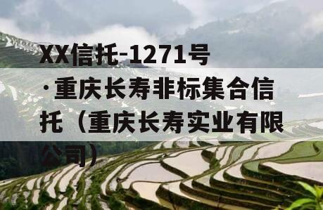 XX信托-1271号·重庆长寿非标集合信托（重庆长寿实业有限公司）