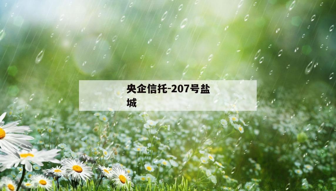 央企信托-207号盐城