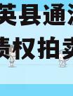四川大英县通源实业2023年债权拍卖政府债定融