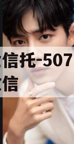 央企信托-507号新沂政信